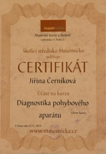 diagnostika